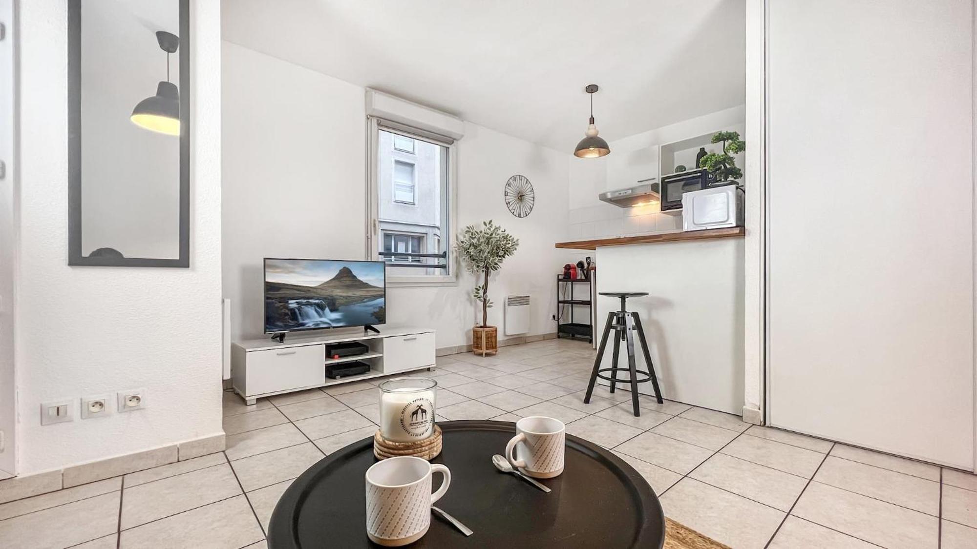 Homey Wild - Proche Gare Et Tram - Proche Centre - Balcon Prive - Parking Prive - Wifi Gratuit Анмас Екстериор снимка